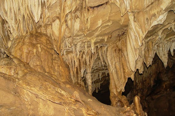 Exploration Tour at Venado Caves